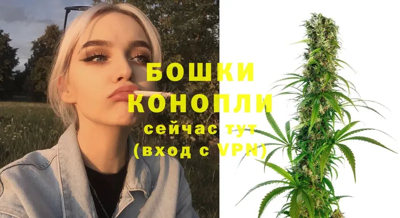 Канабис White Widow  магазин продажи наркотиков  Балей 